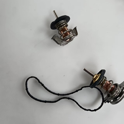 Termostato del liquido di raffreddamento del motore in metallo e plastica per Ford F250 F350 F450 F550 6.4L 2008 2009 2010