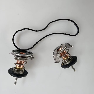 Termostato del liquido di raffreddamento del motore in metallo e plastica per Ford F250 F350 F450 F550 6.4L 2008 2009 2010
