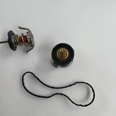 Termostato del liquido di raffreddamento del motore in metallo e plastica per Ford F250 F350 F450 F550 6.4L 2008 2009 2010