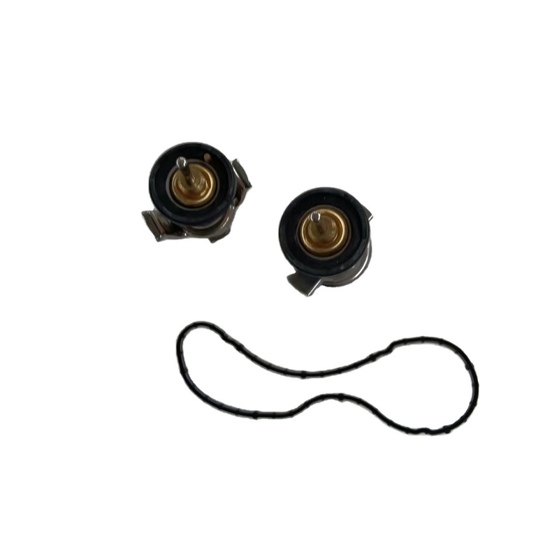 Termostato del liquido di raffreddamento del motore in metallo e plastica per Ford F250 F350 F450 F550 6.4L 2008 2009 2010